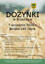 Dożynki sołeckie w Brzezince